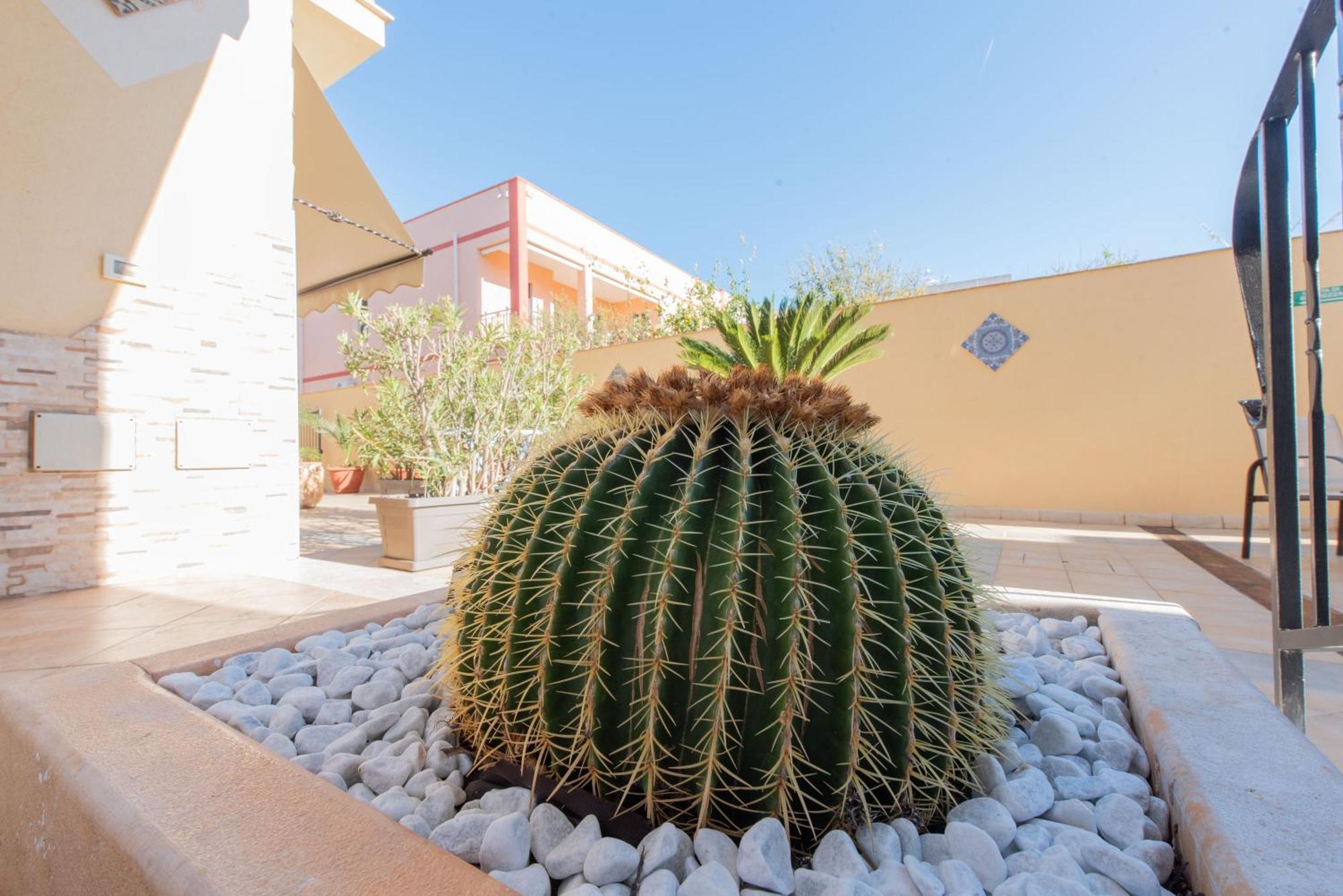 & Breakfast Aloe Guest house